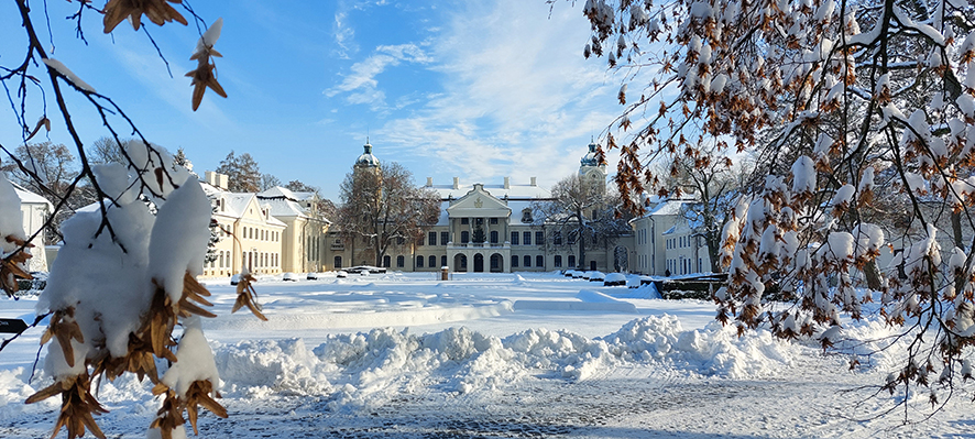 Zimowy krajobraz przedstawiający Pałac Zamoyskich w Kozłówce. Sceneria jest otulona śniegiem, który pokrywa zarówno ziemię, jak i drzewa. Na pierwszym planie znajdują się ośnieżone gałęzie drzewa z brązowymi liśćmi, które jeszcze nie opadły, kontrastując z bielą śniegu. Za nimi rozciąga się szeroki dziedziniec, na którym widać zaspy śnieżne i odśnieżone ścieżki. W tle dominuje barokowa fasada pałacu z charakterystycznymi wieżami i symetrycznymi skrzydłami budynku. Dachy i detale architektoniczne są pokryte śnieżną warstwą, co dodaje malowniczości. Niebo nad pałacem jest jasne i niebieskie, z delikatnymi obłokami, co sugeruje słoneczną, mroźną pogodę. Promienie słońca podkreślają detale pałacu i gałęzi drzewa, tworząc kontrast między ciepłem światła a chłodem zimowej scenerii. Widok jest spokojny i harmonijny, oddając zimowy urok historycznego zespołu pałacowego w Kozłówce.